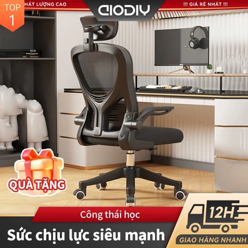 Ergonomic Chair