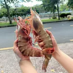 [HỎA TỐC HCM] Tôm sú khổng lồ thiên nhiên, tôm sú cáp dông h bằng công nghệ IQF giữ độ tươi ngọt tự nhiên — ảnh 7