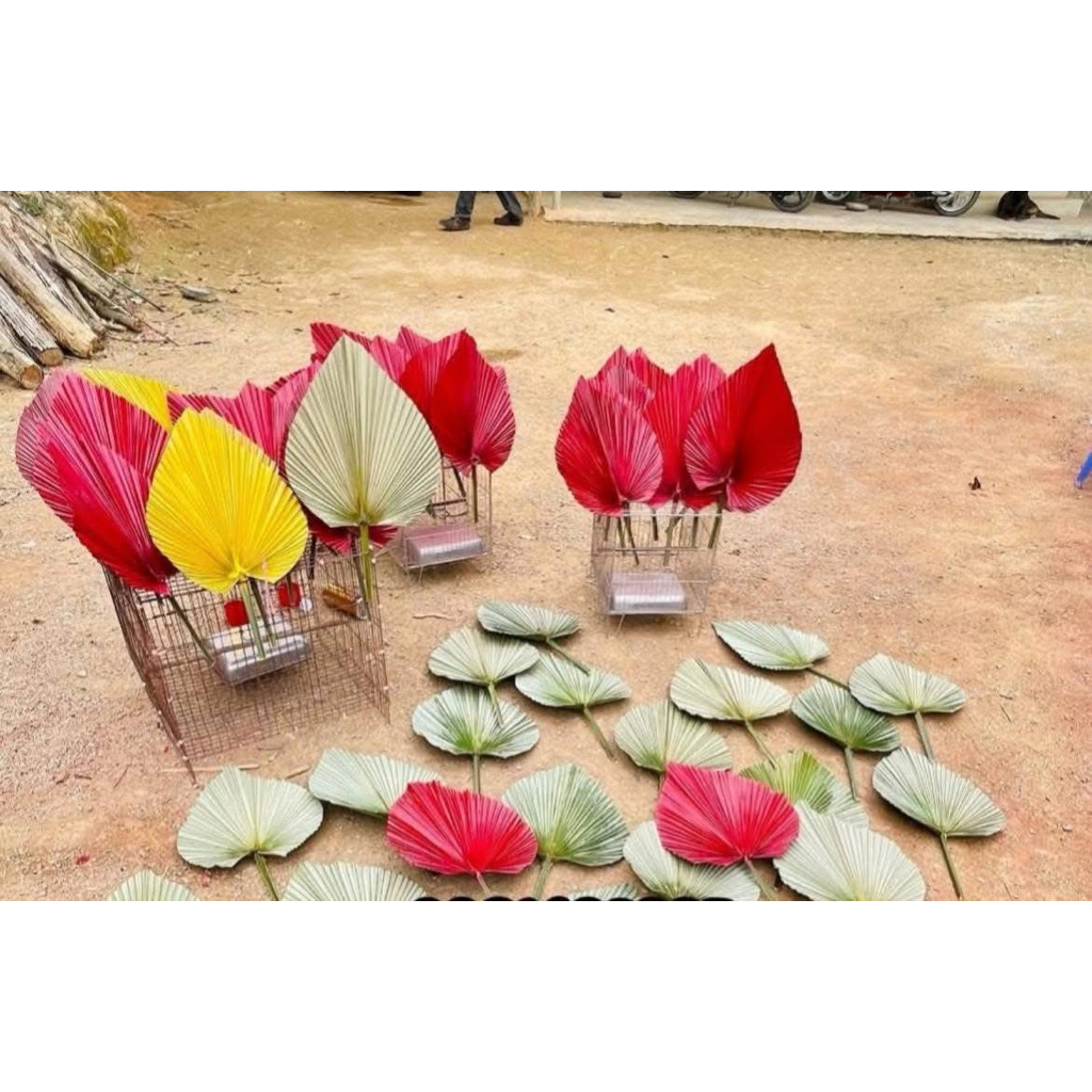 combo 10 Lá Cọ Khô Tự Nhiên Trang Trí Decor – Lá Cọ Cắm Hoa, Backdrop, Studio, Quán Cafe