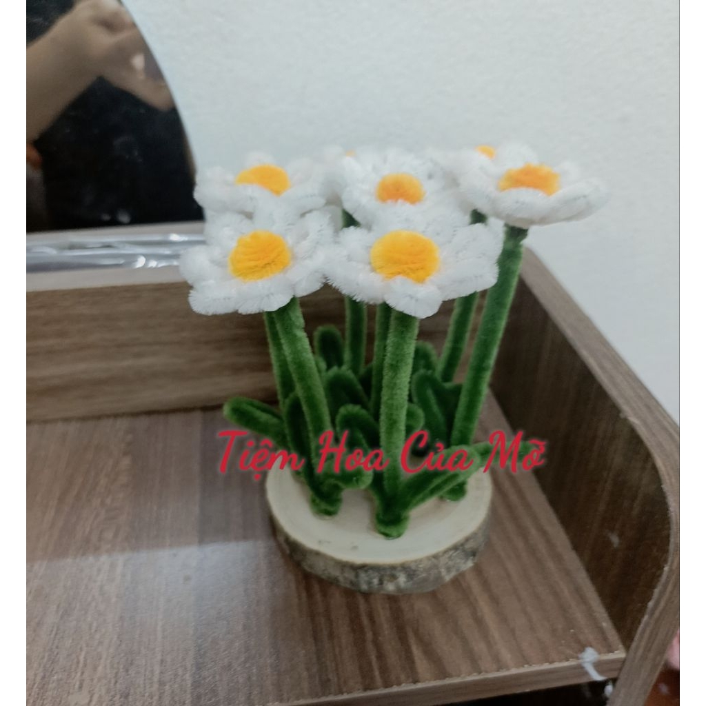 Hoa cúc kẽm nhung gắn đế gỗ xinh xắn