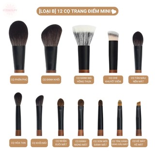 Set cọ makeup mini bộ cọ trang điểm mini 12 cọ, bộ cọ makeup cá nhân,chuyên nghiệp cho người mới