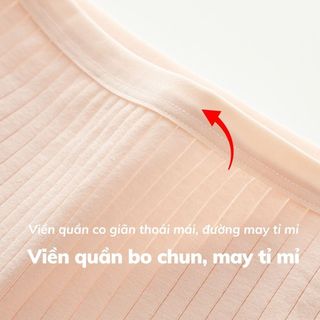 Quần lót nữ cotton găn tăm kháng khuẩn co giãn vừa phải kiểu dáng basic màu sắc pastel DEVARI L562