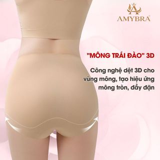 Combo Quần Lót Định Hình Thu Gọn Eo, Quần Định Hình Nâng Mông Không Đường May Cạp Cao AMYBRA N699