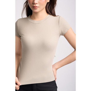 THEKIM COMBO 2 Áo thun tăm ngắn tay cổ tròn , áo thun tăm trơn tay ngắn A166 dáng thường