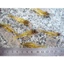 Mồi tôm giả câu lure 4,5cm 1g