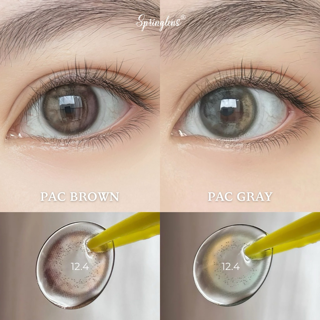 Kính áp tròng hiệu ứng chuyển 2 màu Pac Brown nâu gỗ hồng tím không giãn 1 tháng | Spring Lens