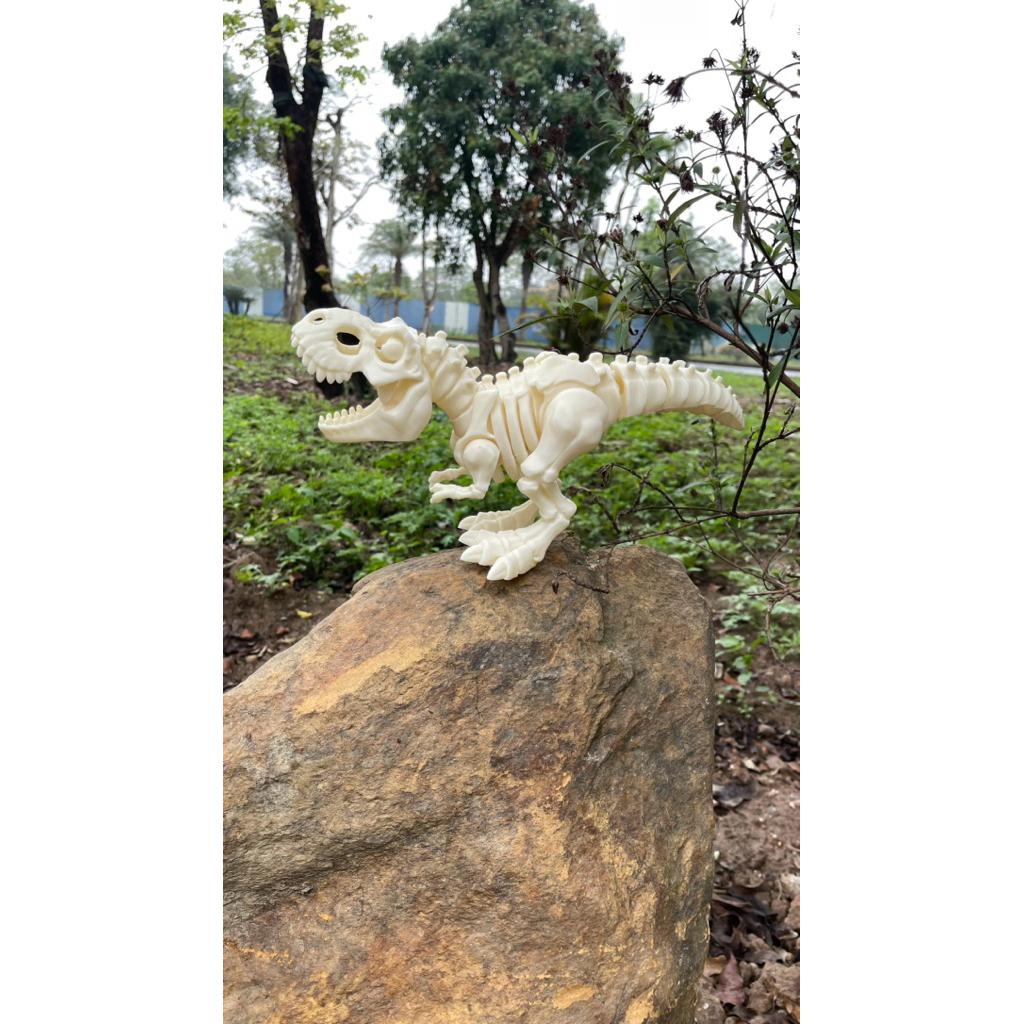 khủng long T- rex in 3D decod giải trí quà tặng