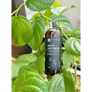 Nước Súc Miệng VietKet Thảo Dược 500ml - Chăm Sóc Bảo Vệ Răng Miệng
