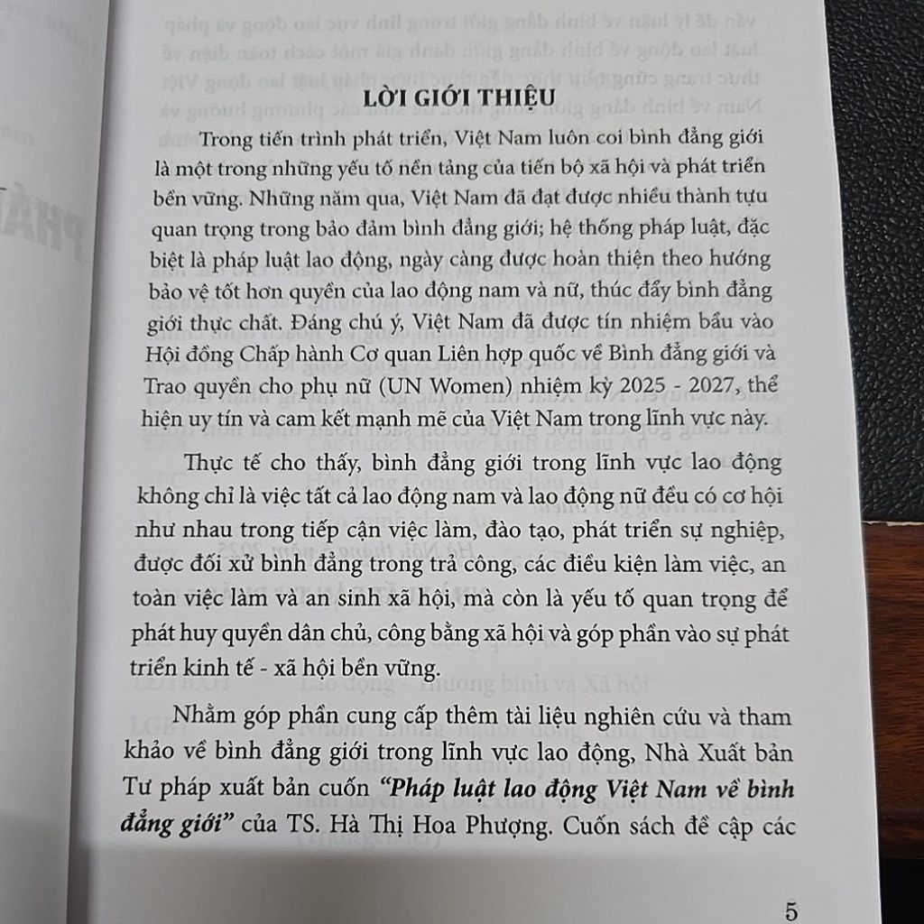 Sách - Pháp luật lao động Việt Nam về bình đẳng giới (NXB Tư Pháp)