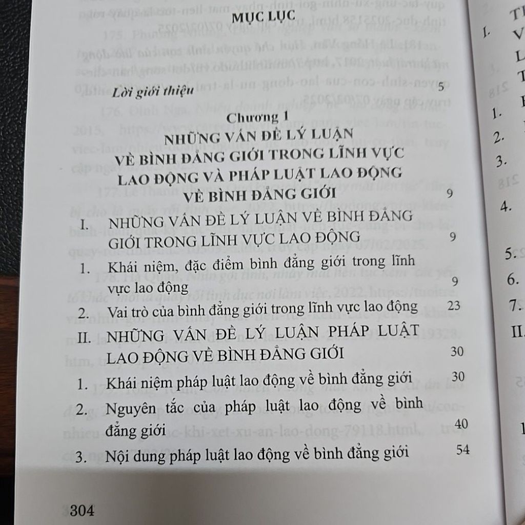 Sách - Pháp luật lao động Việt Nam về bình đẳng giới (NXB Tư Pháp)
