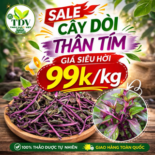 Cây Dòi (Cây bọ mắm) Loại Tím sấy khô  hổ trợ Thanh Nhiệt, Trừ Ho, Giảm Đau Họng - Hàng công ty Thảo Dược Việt