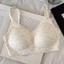Áo Mặc Trong Nữ Cotton Hoa Nhí Viền Ren Nhẹ Nhàng – Dáng Mềm Dễ Mặc Hằng Ngày