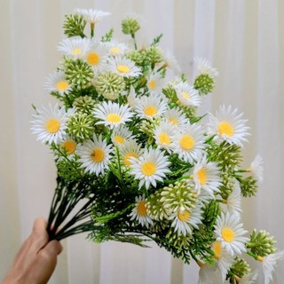 Cúc Họa Mi Decor Xinh Xắn Cành Lẻ & Combo 5–10 Cành Trang Trí Bàn Học Bàn Làm Việc Sản Phẩm Trang Trí Nội Thất