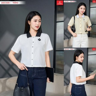 6ASC03 Áo sơ mi nữ CARDINA chất thô gió tay cộc gấu rút phối cổ 6ASC03
