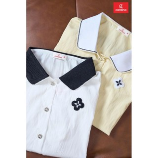 6ASC03 Áo sơ mi nữ CARDINA chất thô gió tay cộc gấu rút phối cổ 6ASC03