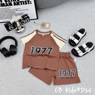 BỘ GIÁP LĂNG 977 LAMI