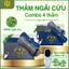 Combo 4 Thảm điện + gối điện ngải cứu chính hãng Phúc An, Quà tặng cao cấp