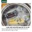 Ngô Nếp Mochi Kame Nozoki – Xanhsam Natural & Organic