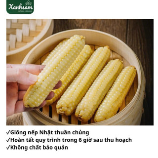 [HỎA TỐC] Ngô Nếp Mochi Kame Nozoki – Xanhsam Natural & Organic