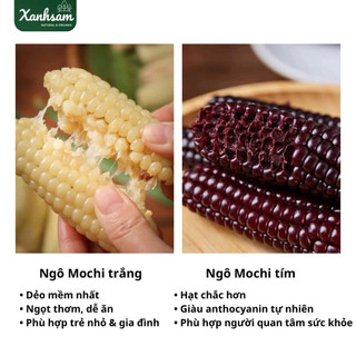 [HỎA TỐC] Ngô Nếp Mochi Kame Nozoki – Xanhsam Natural & Organic