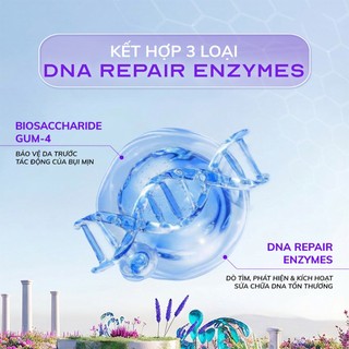 Tinh chất DNA Repair Enzymes Dermarium The Cure (30ml)