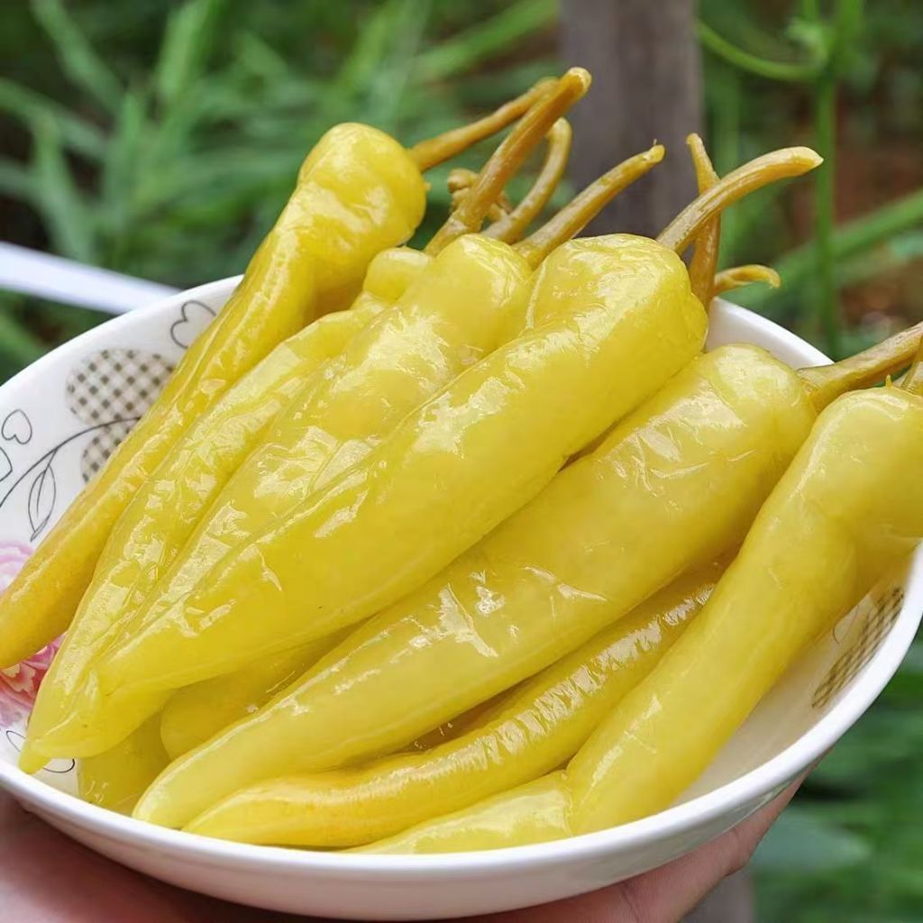 Hạt giống Ớt Huế F1ớt cay S(Gói 100 Hạt) Thơm Ngon, Dễ Trồng, Năng Suất Cao, Trồng Quanh Năm，k038
