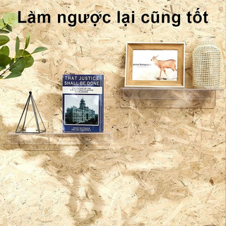 YOWXII Giá Đỡ Trưng Bày acrylic, Dày hơn, Kệ Trang Trí Treo Tường Decor Phòng Khách