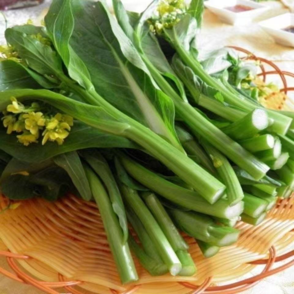 (1000 hạt)Hạt giống rau cải ngồng xanh chịu nhiệt，5 gam，k046