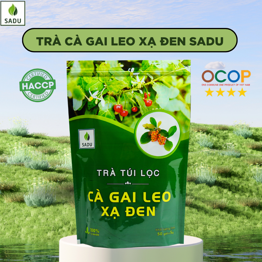 Trà Cà Gai Leo Xạ Đen Túi Lọc Sadu Mát Gan – Hỗ Trợ Nóng Trong, Mẩn Ngứa,Sử Dụng Rượu Bia