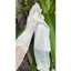 1 ĐÔI GĂNG TAY CAO SU HƯƠU CÓ CHUN CHỐNG TUỘT