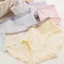 Quần lót nữ cotton cao cấp cạp vừa bo chun tôn dáng gợi cảm họa tiết in nổi xinh xắn LANXA LY01 -CB