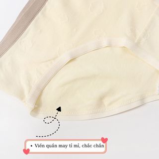 Quần lót nữ cotton cao cấp viền màu bo chun co giãn êm ái thấm hút đáy lót kháng khuẩn DEVARI LY01