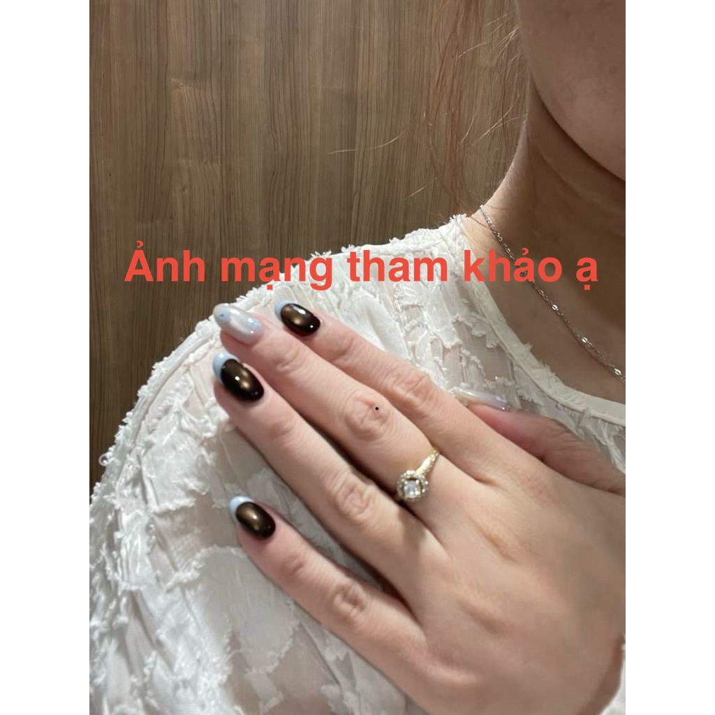 479. nailbox mắt mèo nâu, mắt mừo xanh da trời