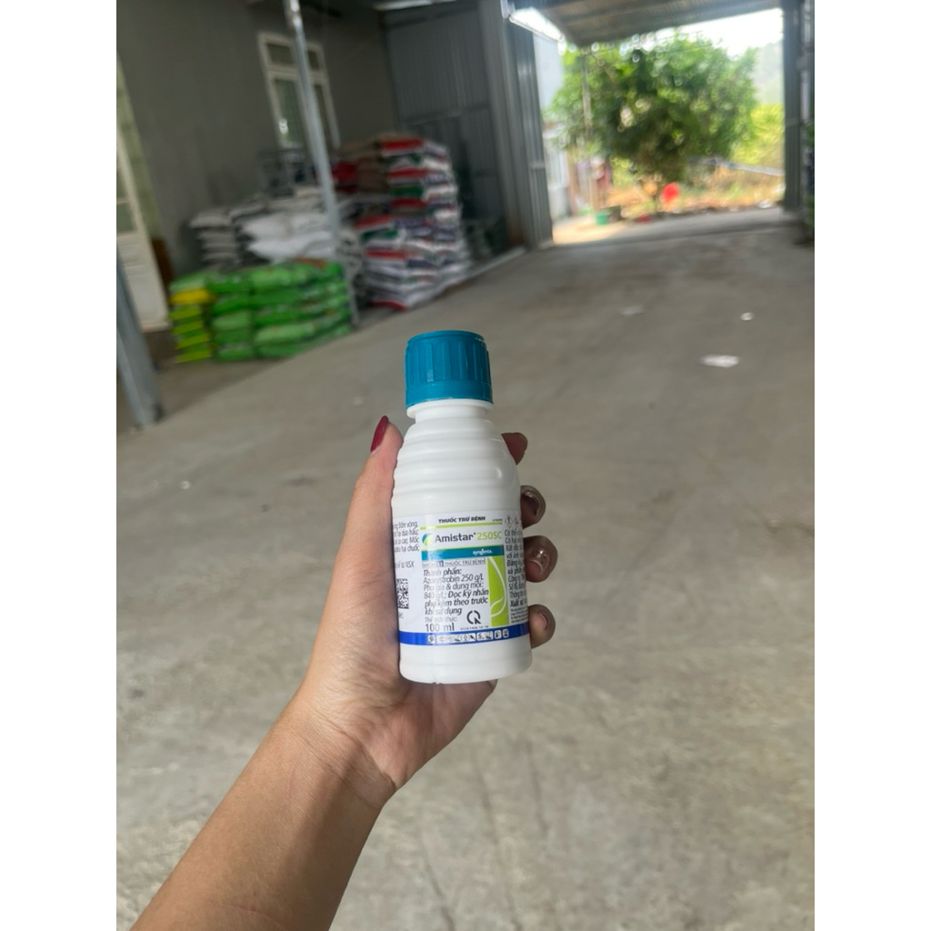 Amistar 250SC syngenta- Chai 100ml- phòng trừ thán thư nấm bệnh, giúp lá xanh hơn