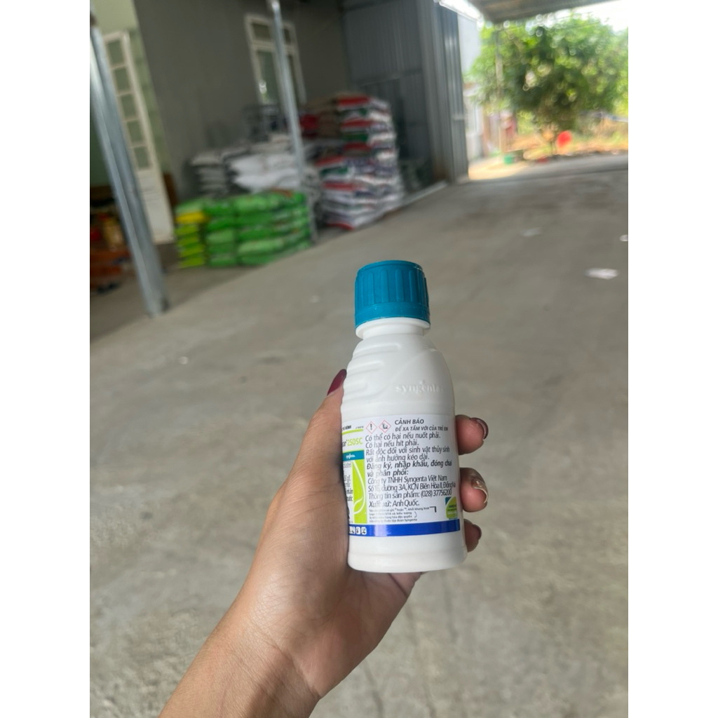 Amistar 250SC syngenta- Chai 100ml- phòng trừ thán thư nấm bệnh, giúp lá xanh hơn
