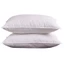 COMBO 2 Gối Bông khách sạn 45x65cm, ruột gối