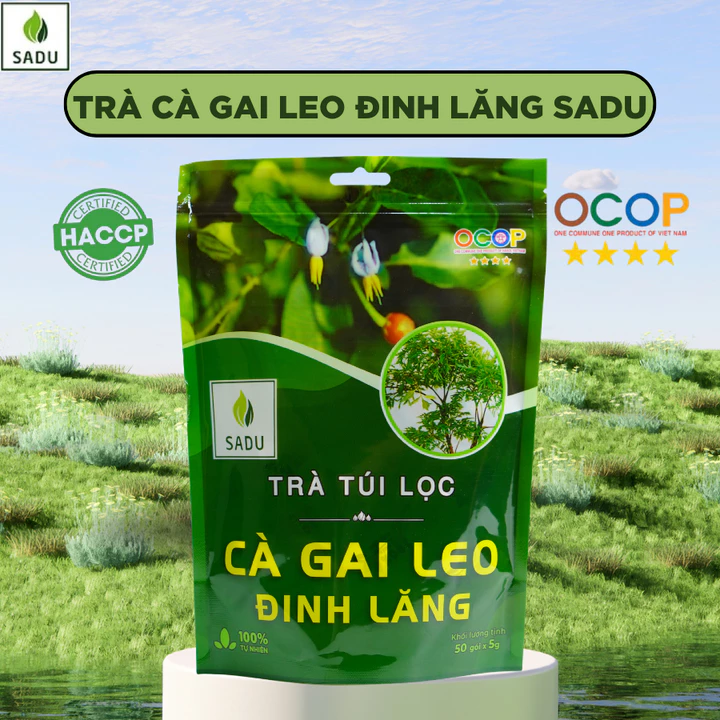 Trà Túi Lọc Cà Gai Leo Đinh Lăng- Thảo Dược Thiên Nhiên, Phù Hợp Cho Người Hay Căng Thẳng 1kg