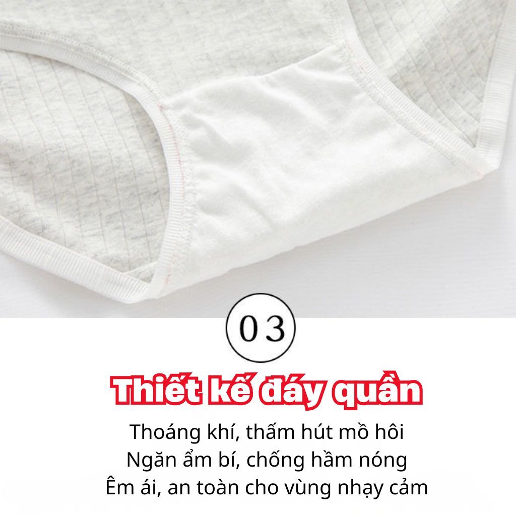Quần lót nữ cotton kháng khuẩn cạp vừa tôn dáng co giãn đáy lót 2 lớp kiểu dáng basic LANIXA L1108