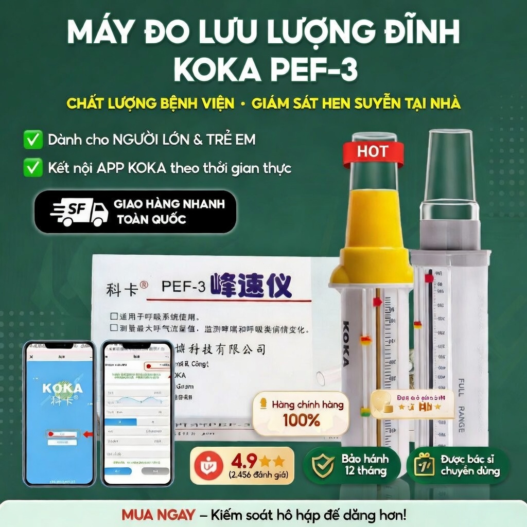 Máy Đo Lưu Lượng Đỉnh KOKA & MaiWieel PEF-3 Phòng Ngừa Hen Suyễn Do Bụi Mỏ, Kết Nối App Theo Dõi