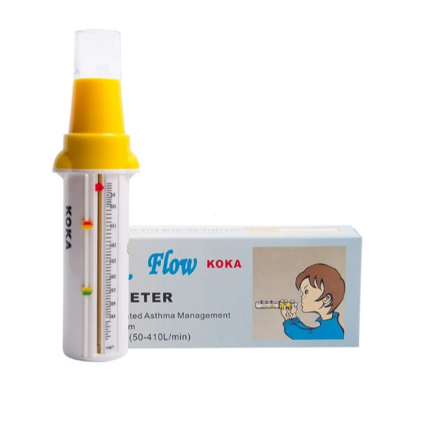 Máy Đo Lưu Lượng Đỉnh KOKA & MaiWieel PEF-3 Phòng Ngừa Hen Suyễn Do Bụi Mỏ, Kết Nối App Theo Dõi