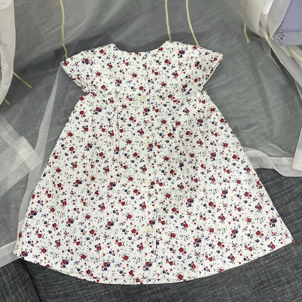 Váy Bé Gái Hoa Nhí Hè Siêu Xinh D8951 Xuất Dư Xịn Mềm Mát Size 3M-6Y (4-24kg)