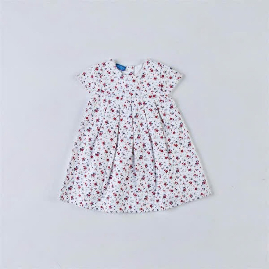 Váy Bé Gái Hoa Nhí Hè Siêu Xinh D8951 Xuất Dư Xịn Mềm Mát Size 3M-6Y (4-24kg)