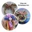Vòng rơm Shimenawa/Shimekazari Vòng may mắn truyền thống Nhật