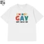 Áo Thun In Chữ Hài Hước I_m Not Gay Câu Nói Text Hài Form Rộng Cotton In Theo Yêu Cầu
