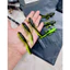 Mồi mềm nòng nọc ếch mùi tanh chuyên câu lure dài 8cm nặng 3.8g Thích hợp lưỡi size 4cm