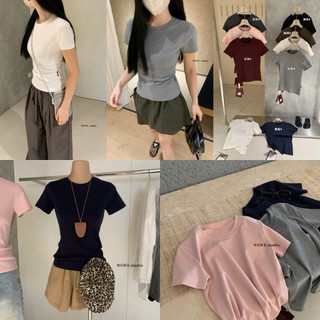 𝐏𝐡𝐢𝐞𝐧 𝐖𝐆𝐖𝐄 | (Sẵn) w8539 Áo Thun Co Dãn Cổ Tròn Fit Dáng Cộc Tay