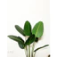 Cây chuối giả - cây giả 1m2 decor - cây chuối dẻ quạt