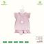 Bộ Cộc Bé Gái Cánh Tiên Bear Angel Chính Hãng Anminaza AMIA0527 Vải Petit Mềm Mát