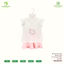 Bộ Cộc Bé Gái Cánh Tiên Bear Angel Chính Hãng Anminaza AMIA0527 Vải Petit Mềm Mát