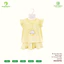 Bộ Cộc Bé Gái Cánh Tiên Bear Angel Chính Hãng Anminaza AMIA0527 Vải Petit Mềm Mát